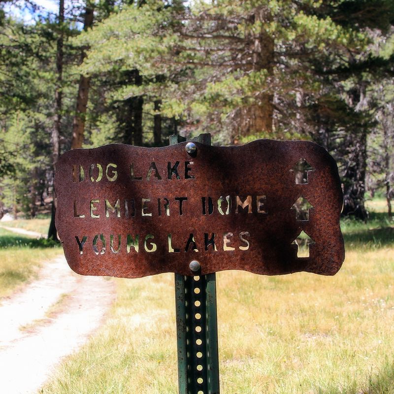 IMG_3498 lembert dome sign 4x4