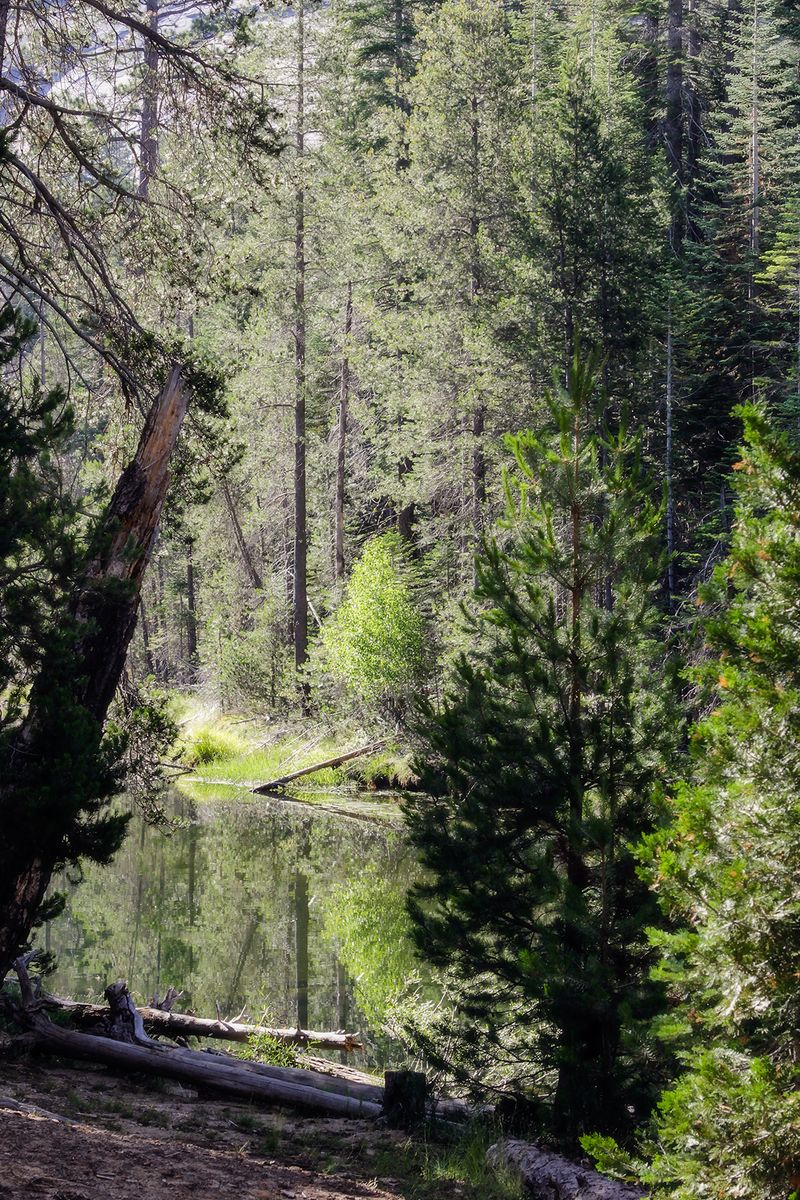 No04merced river reflection