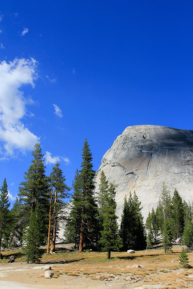 IMG_3526 lembert dome from base 4x6