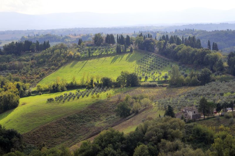 San gimignano small amy sorensen