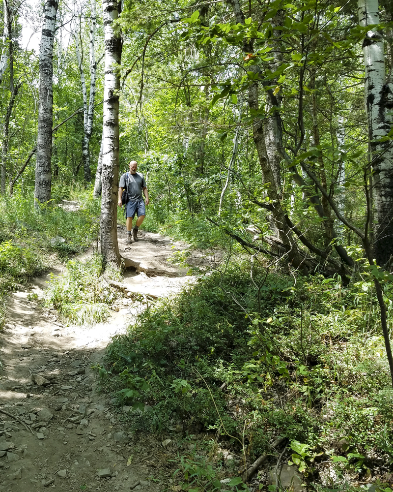 Squawk peak trail no3