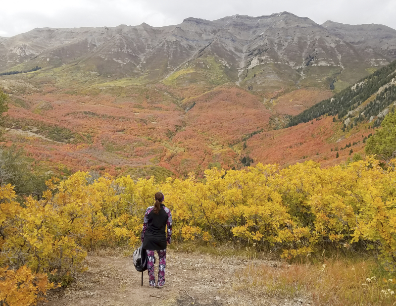 2017 hikes brush mountain