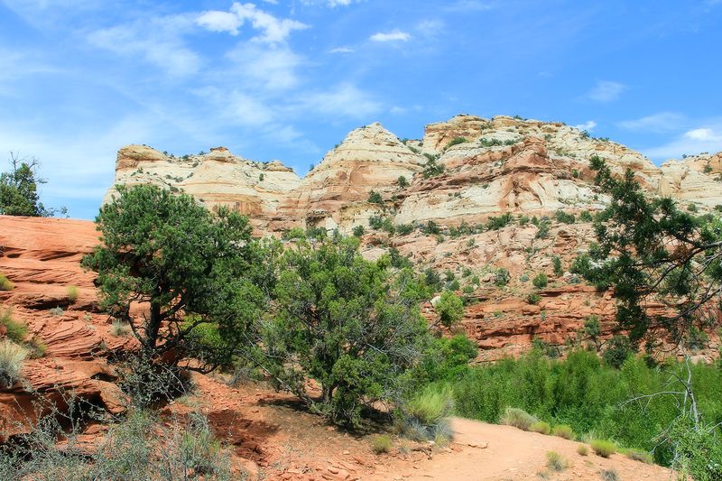 Calf creek falls canyon 4x6