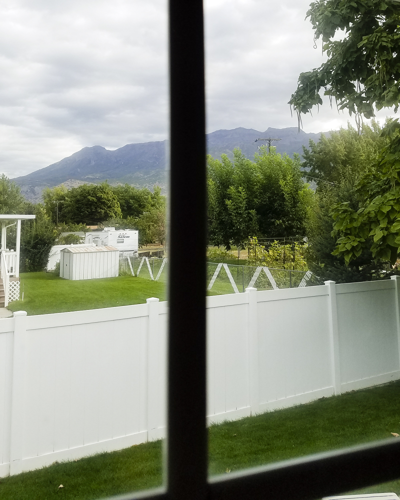 Timp from my window