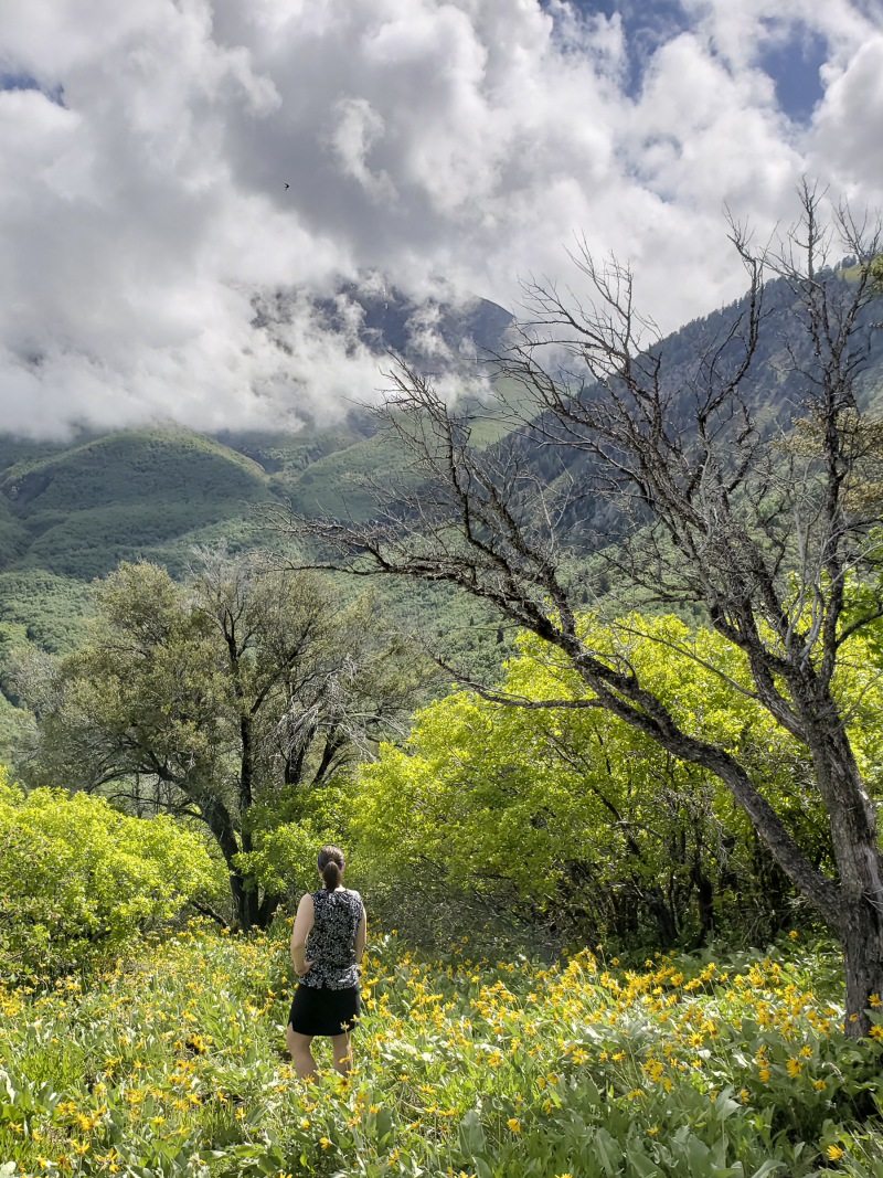 05 spring hiking