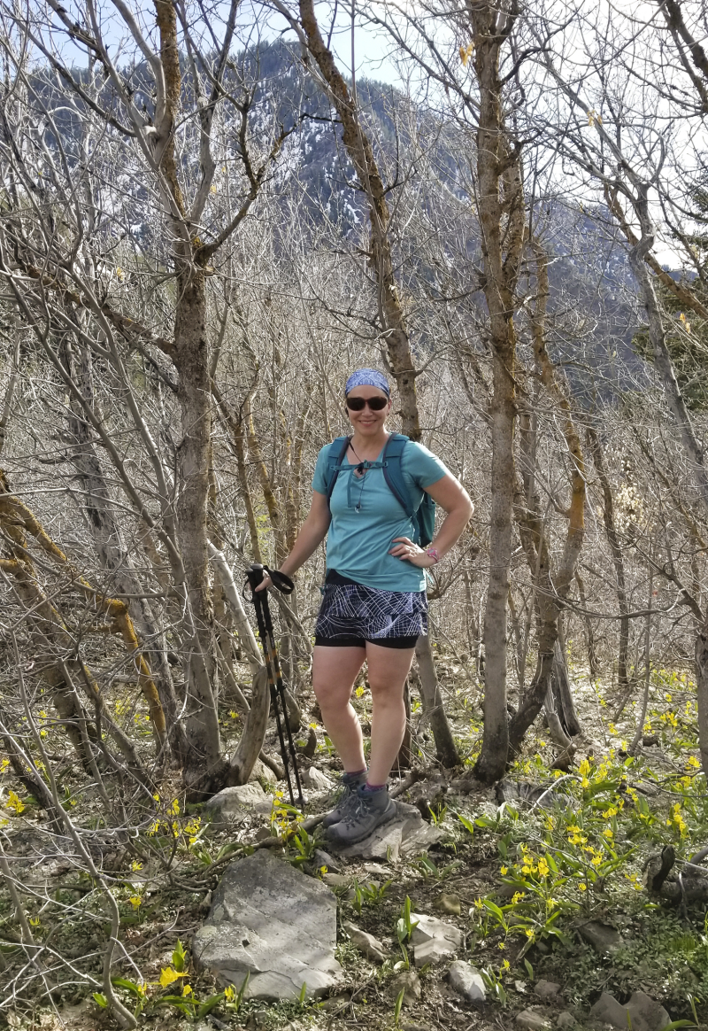 Rock canyon provo peak overlook with flowers