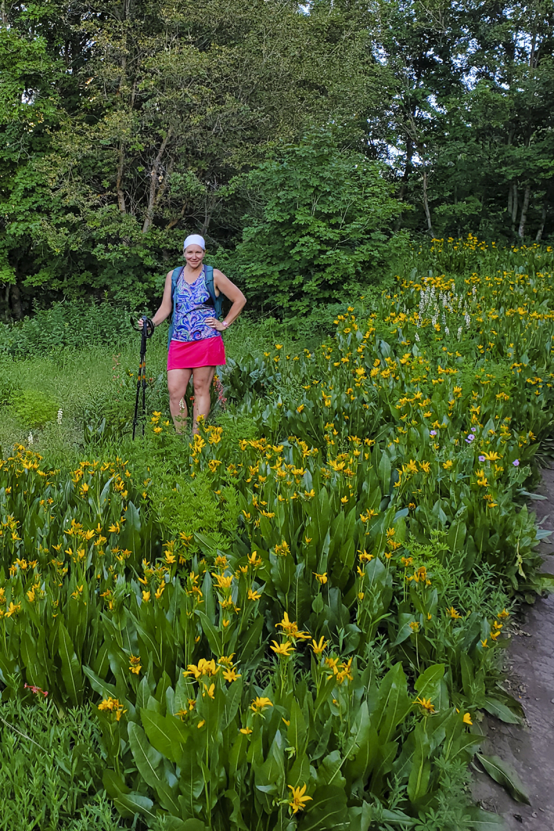 20190719_200502 wildflowers buffalo peak 4x6