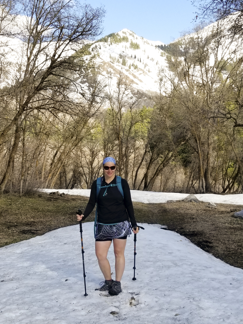 Top of rock canyon with snow