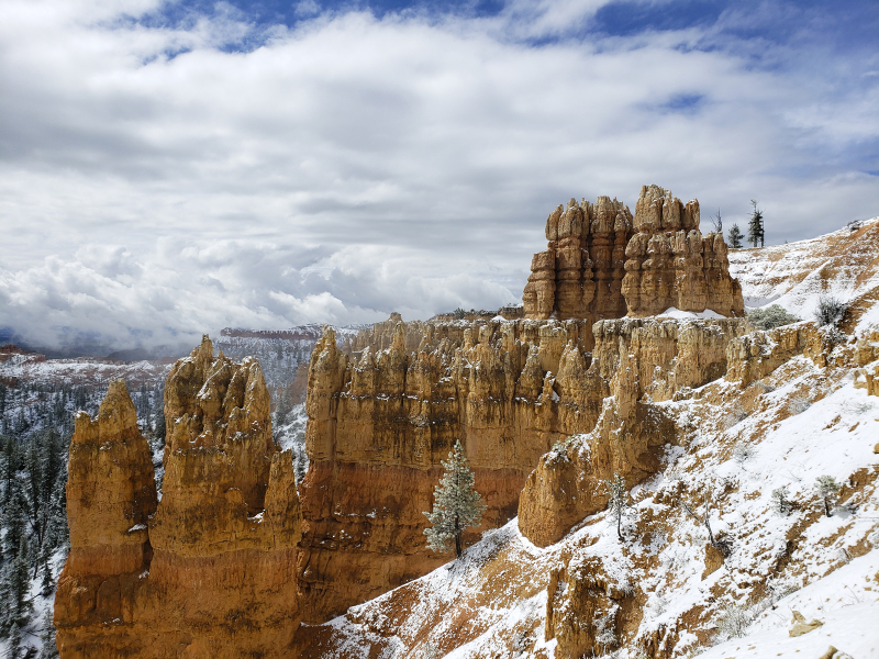 20190523_103918 bryce in snow 6x8