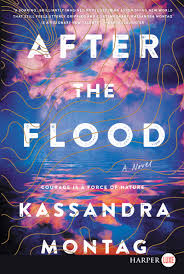 After the flood